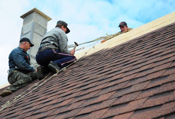 Quick and Trustworthy Emergency Roof Repair Services in Aliceville, AL